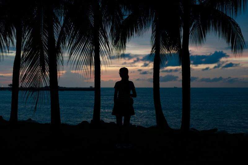 HobbyMester ApS - Image 7